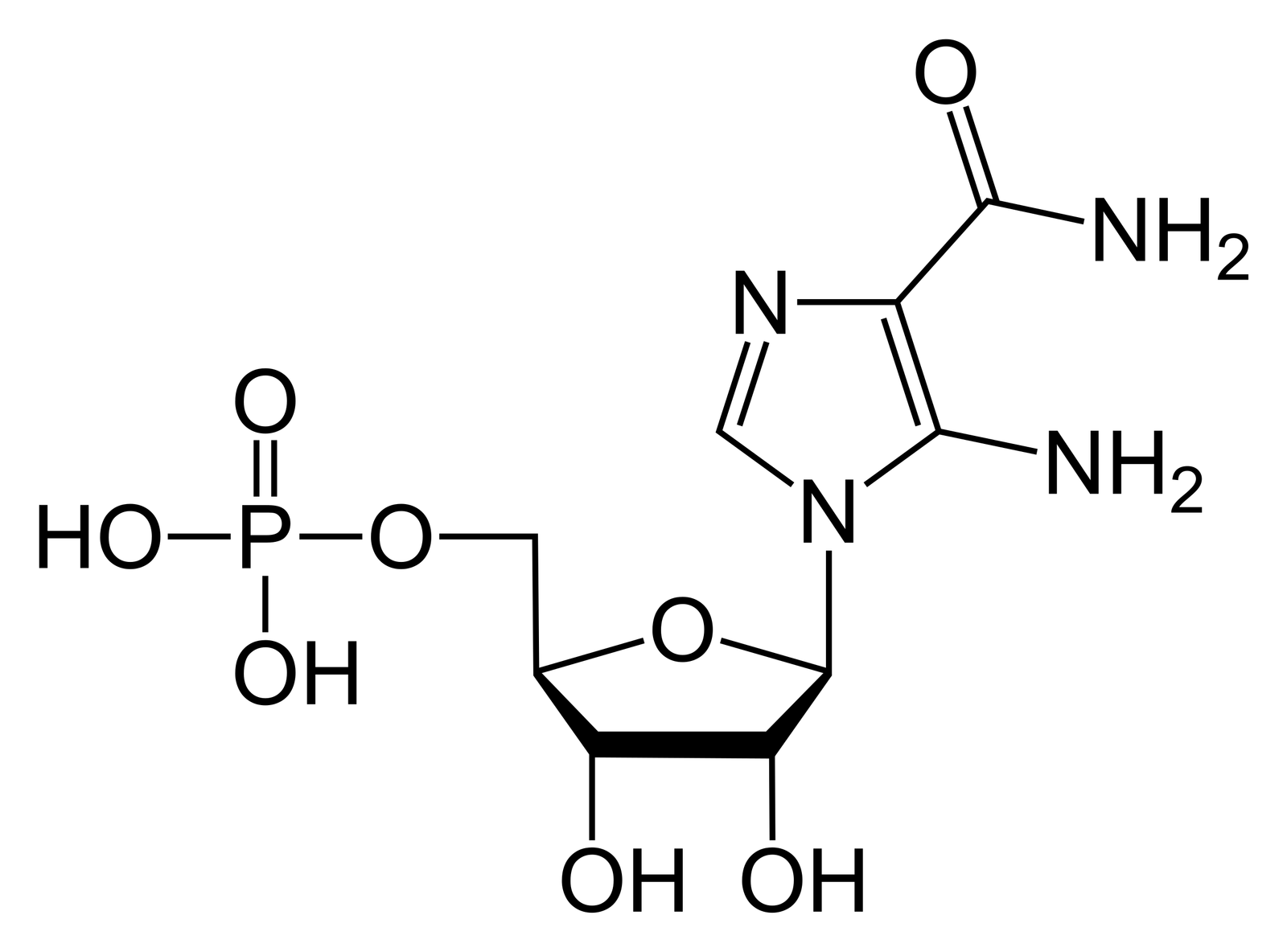 AICA Ribonucleotide (AICAR) 50mg